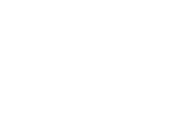 Líder